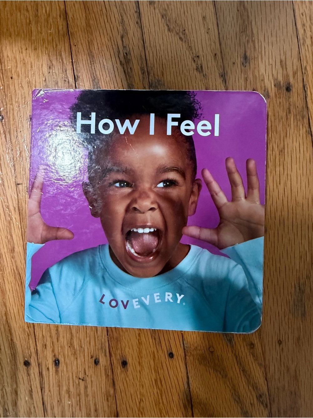 Lovevery -How I Feel Book 9–10 months.